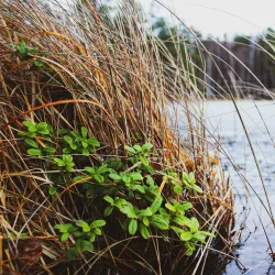Hiking Trails around Storfors - Storfors
