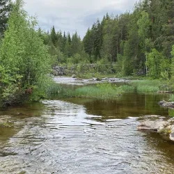 Storfors Nature Reserve - Storfors