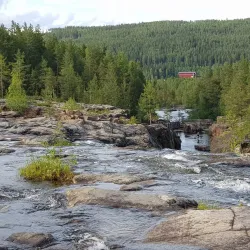 Storfors Nature Reserve - Storfors