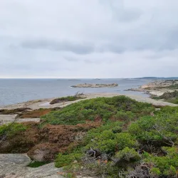 Kosterhavet National Park - Stromstad