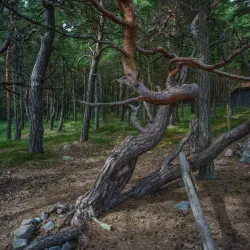 Saltö Island - Stromstad