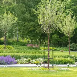 Duvbo Park - Sundbyberg