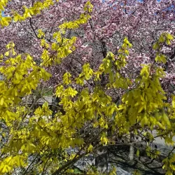 Duvbo Park - Sundbyberg