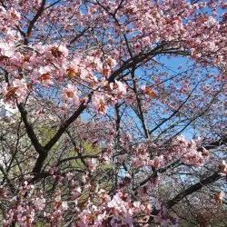 Duvbo Park - Sundbyberg