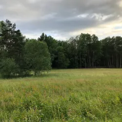 Rissne Naturreservat - Sundbyberg