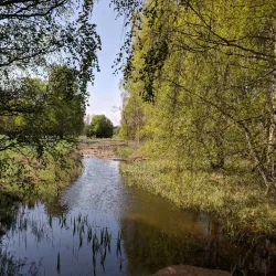 Rissne Naturreservat - Sundbyberg