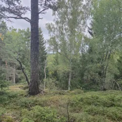 Rissne Naturreservat - Sundbyberg