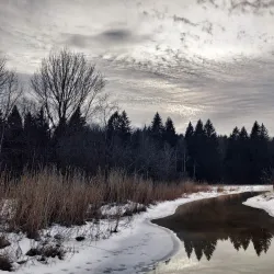 Rissne Naturreservat - Sundbyberg
