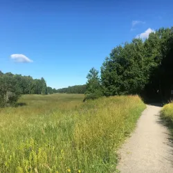Rissne Naturreservat - Sundbyberg