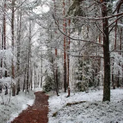 Rissne Naturreservat - Sundbyberg
