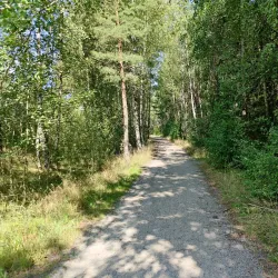 Rissne Naturreservat - Sundbyberg