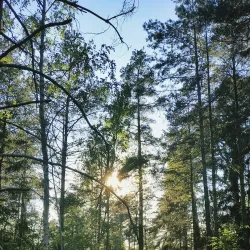 Rissne Naturreservat - Sundbyberg