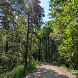 Rissne Naturreservat - Sundbyberg