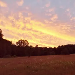 Rissne Naturreservat - Sundbyberg