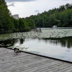 Sundbybergs Golfklubb - Sundbyberg