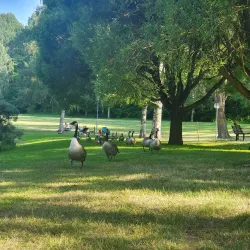 Sundbybergs Golfklubb - Sundbyberg