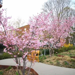 Tuvan Park - Sundbyberg