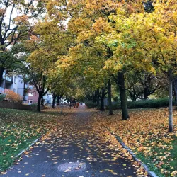 Tuvan Park - Sundbyberg