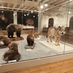 Kulturmagasinet - Sundsvall