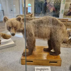 Sundsvall Museum - Sundsvall