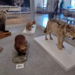 Sundsvall Museum - Sundsvall