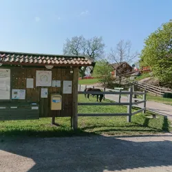 Rönninge By Nature Reserve - Taby