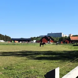 Rönninge By Nature Reserve - Taby