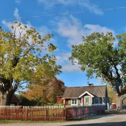 Rönninge By Nature Reserve - Taby