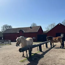 Rönninge By Nature Reserve - Taby