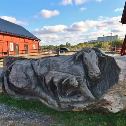 Rönninge By Nature Reserve - Taby