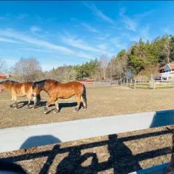 Rönninge By Nature Reserve - Taby