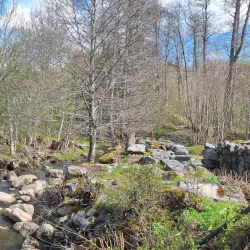 Roslagsleden Trail - Taby