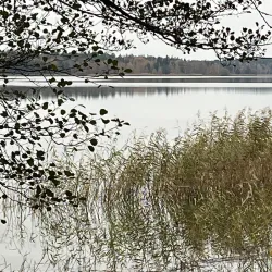 Roslagsleden Trail - Taby