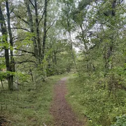 Roslagsleden Trail - Taby