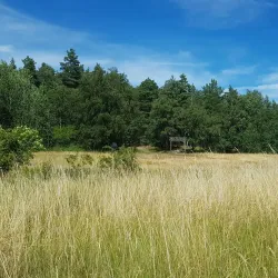 Roslagsleden Trail - Taby