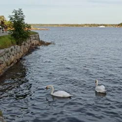 Stora Värtan Bay - Taby