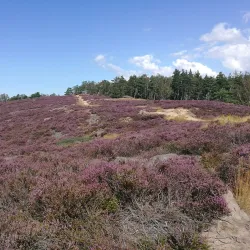 Amhult Nature Reserve - Torslanda