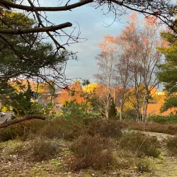 Amhult Nature Reserve - Torslanda