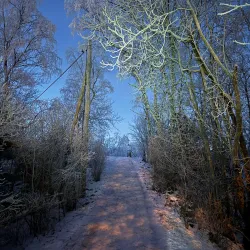 Amhult Nature Reserve - Torslanda