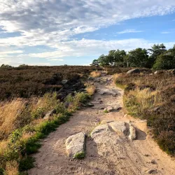 Amhult Nature Reserve - Torslanda
