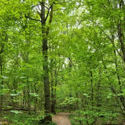 Amhult Nature Reserve - Torslanda