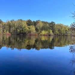 Amhult Nature Reserve - Torslanda