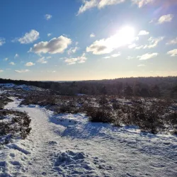 Amhult Nature Reserve - Torslanda