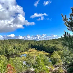 Amhult Nature Reserve - Torslanda