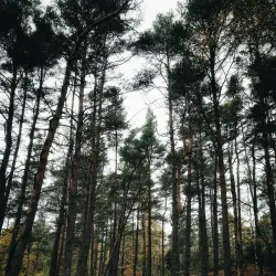 Amhult Nature Reserve - Torslanda