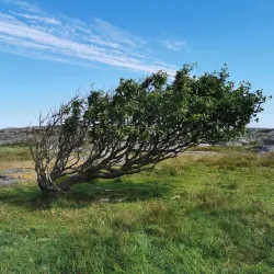 Rödbo Nature Trail - Torslanda