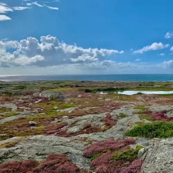 Rödbo Nature Trail - Torslanda