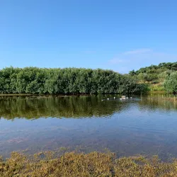 Rödbo Nature Trail - Torslanda