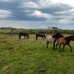 Rödbo Nature Trail - Torslanda