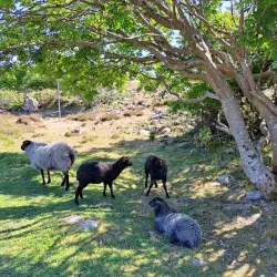 Rödbo Nature Trail - Torslanda